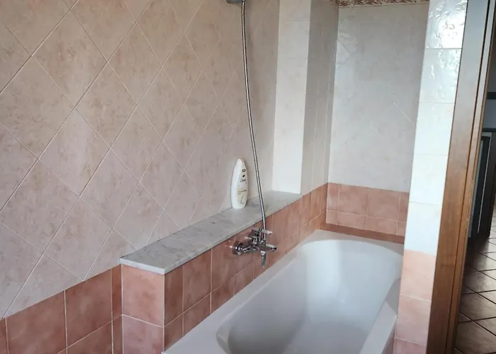 Magnolia 게스트하우스 3*